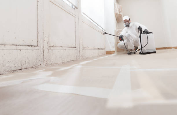 24/7 Emergency Mold Remediation experts in Cordova, NC